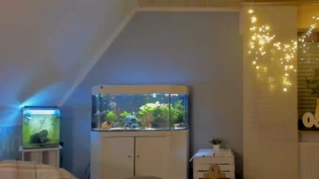 ronhill13  05-11-2021 Recorded Video XXX